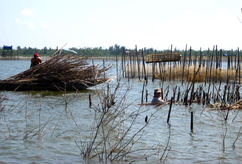 T&igrave;m về "nh&agrave; gi&agrave;n" tr&ecirc;n ph&aacute; Tam Giang
